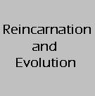 Gnosis Video Tutorial Lesson -  Reincarnation Recurrence Return Evolution and Involution
