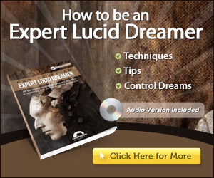 How to be an expert lucid dreamer program