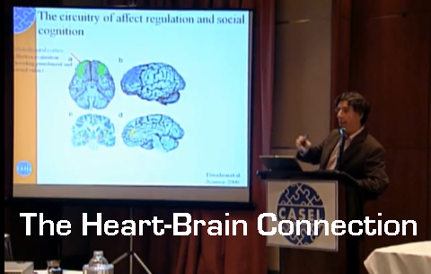 The Heart and Brain Connection