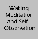 Gnosis Video Tutorial Lesson - Waking Meditation and Self Observation